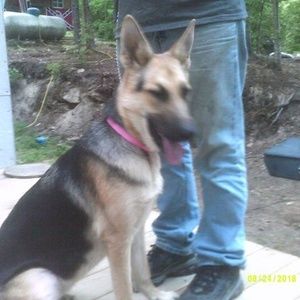 Meet your Posher, Connie